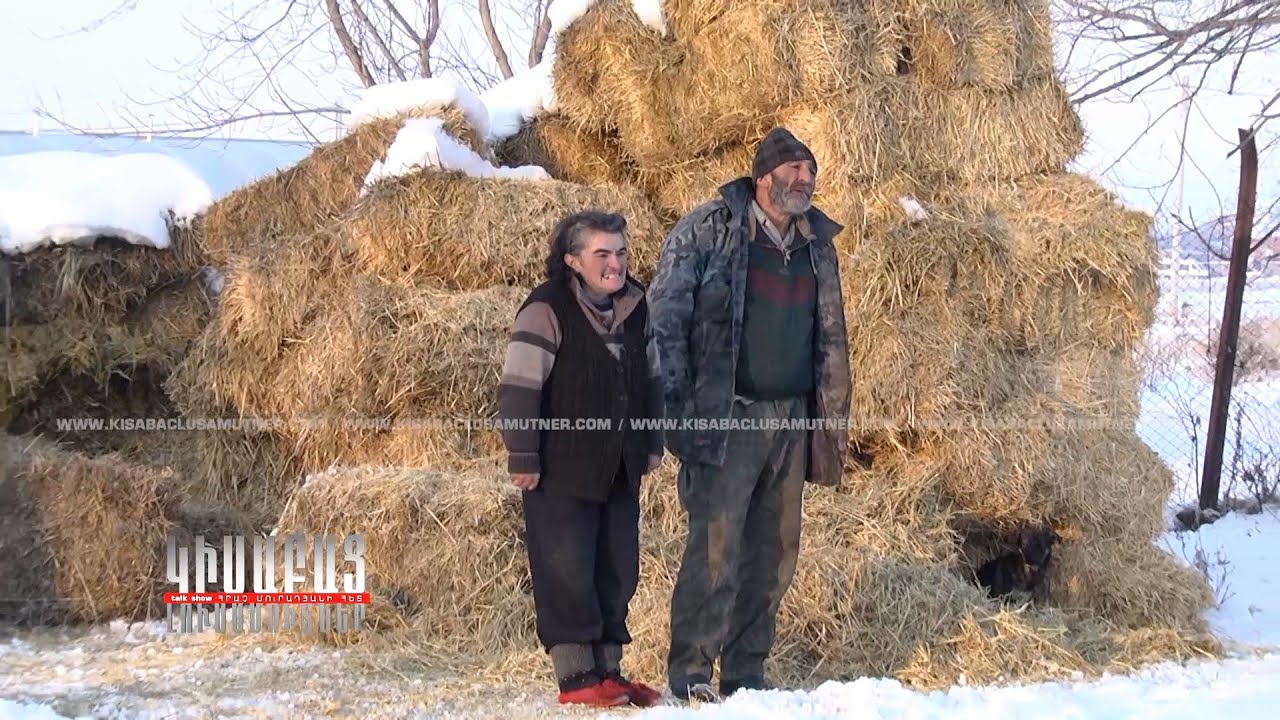 Harmar Tarberak / Kisabac Lusamutner 17.03.2022