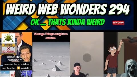 weird web wonders 294