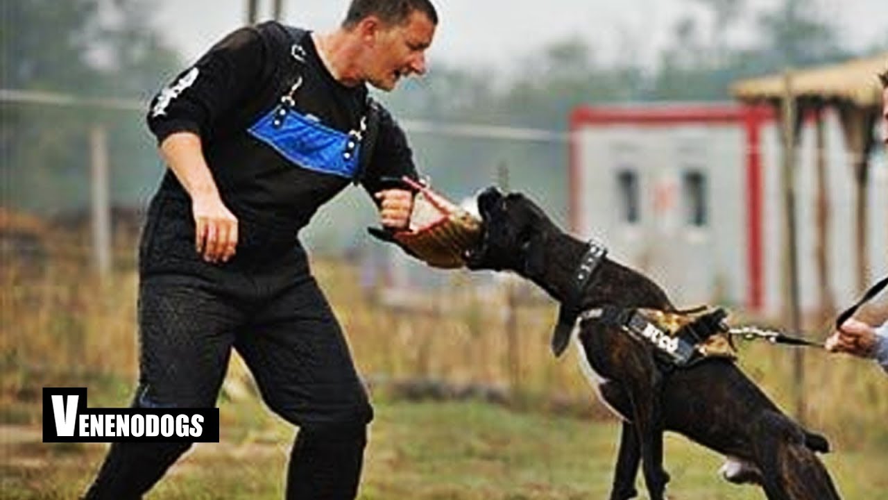 El Poder Del Boxer - Esto es lo que oculta