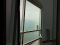 flat glass window tint#tinting #windows