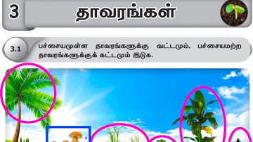 4th std Science Term 2 unit 3 workbook answers/ 4th science unit 3 தாவரங்கள் answers Tamil medium 