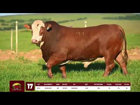LOTE 17   CERRO VERDE D014