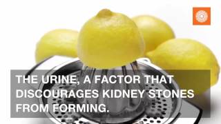 4 Drinks That Cleanse the Kidneys by Wake Up World 85,026 views 7 years ago 1 minute, 21 seconds