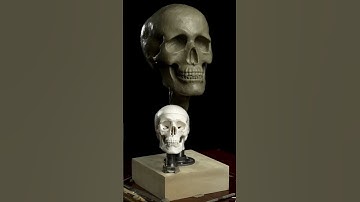 Skull 💀 study sculpture. #portraitsculpture