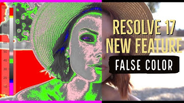 Davinci Resolve 17 False Color