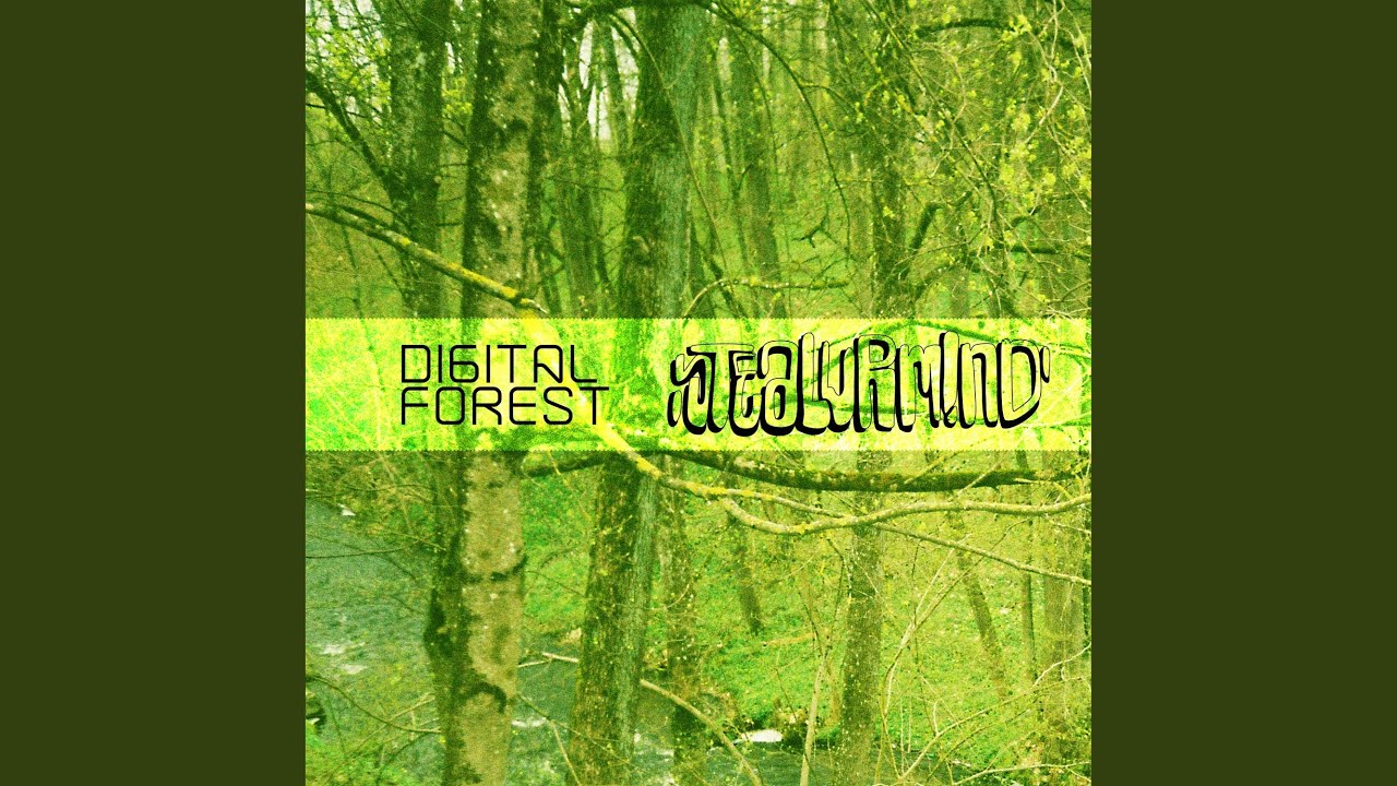 Digital Forest (Instrumental)