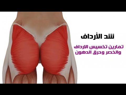 كيفية التخلص من السمنة ودور الخبز في زيادة الوزن   