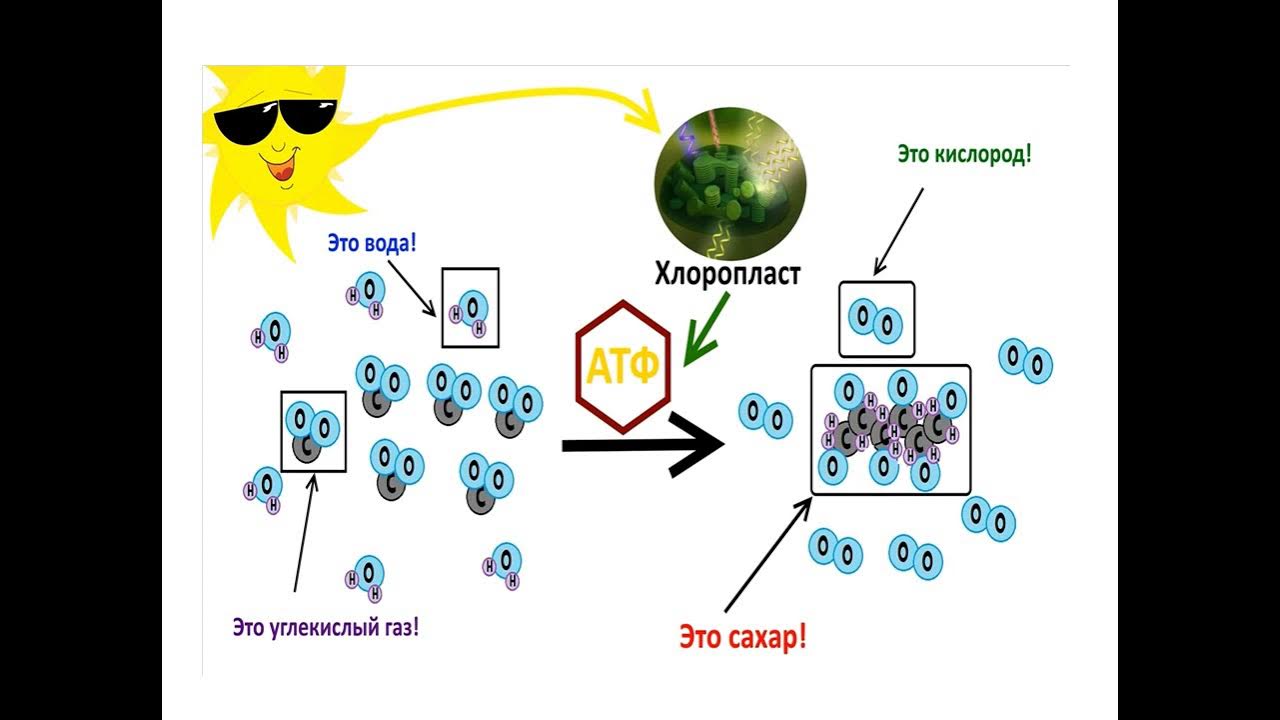 rfr yfpsdftncz dbl gjhyj ult dsltkztncz gbplf