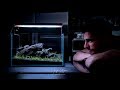Nano Aquascape Tutorial - UNS 5N step by step BEGINNER GUIDE in real time ⏱