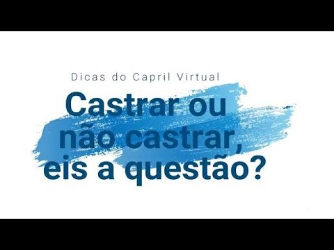 Castrar ou não castrar, eis a questão