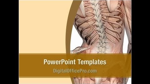 Body Muscles PowerPoint Template Backgrounds - DigitalOfficePro #06387