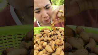 Survival Worm The Women And Worms Coconut worms