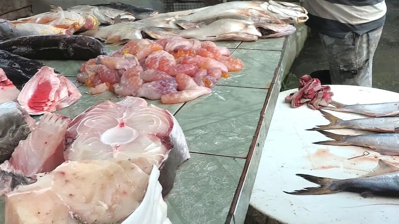 Parika Greens and Fish Market East Bank Essequibo Guyana YouTube