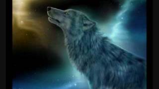 Alone Wolf (violin) chords