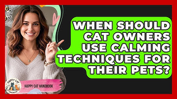 When Should Cat Owners Use Calming Techniques for Their Pets? | Happy Cat Handbook