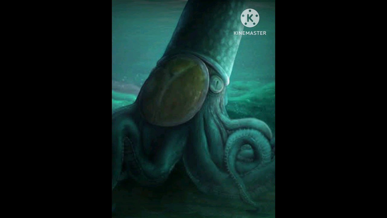 Endoceras (Adultero) | Un Cameroceras con algunos cambios 