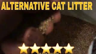 The Best Alternatives to Clay Cat Litter: How to Choose the Most Eco-Friendly Options for Your Cat