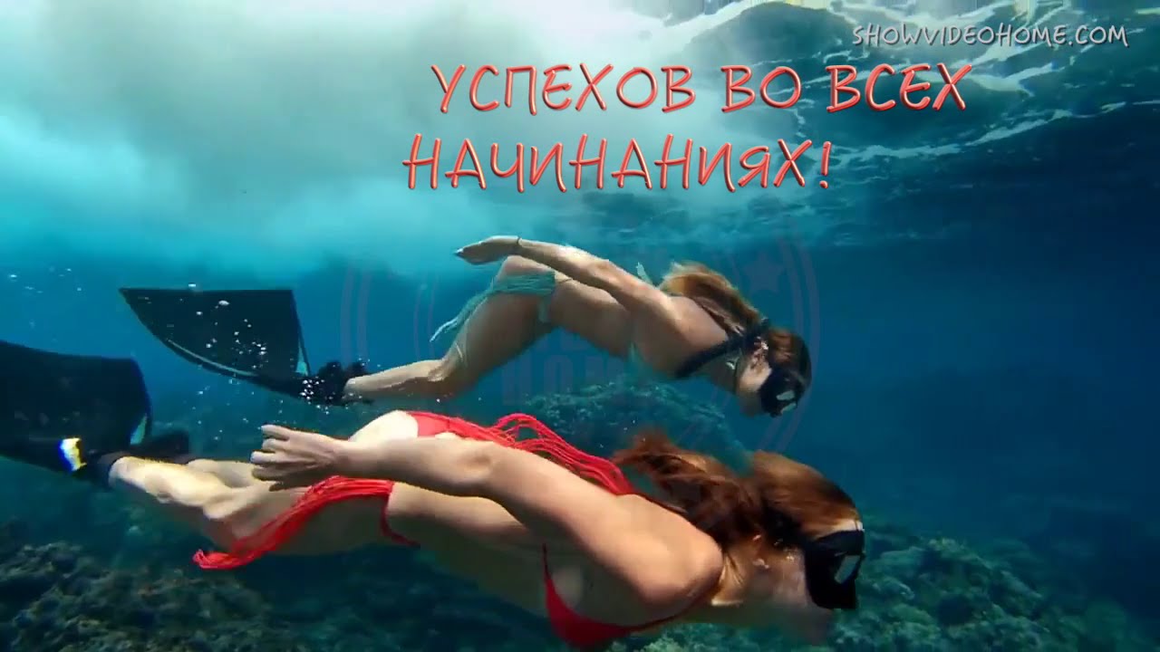 Сказочное Видео Поздравление С Днем