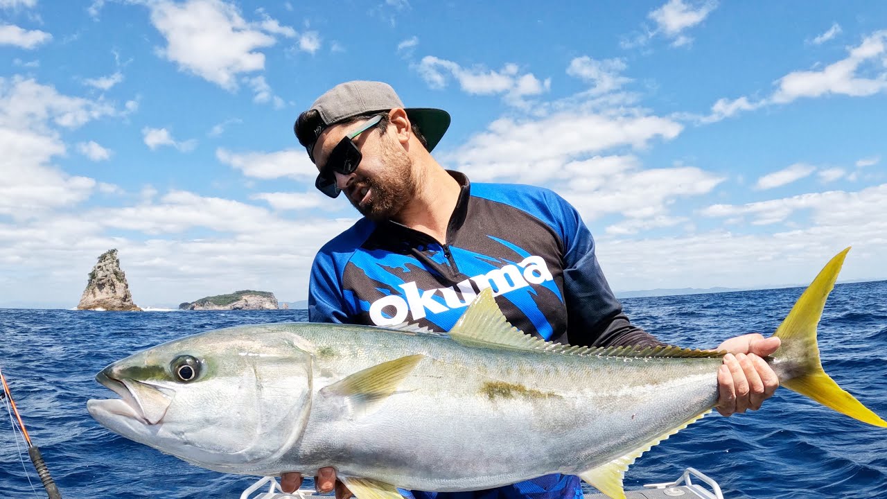 How to catch kingfish slow trolling live mackerel. 