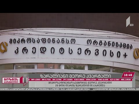2020 წლის მეორე კვარტალში მიკროსაფინანსო სეტორმა 29 მლნ ლარი იზარალა