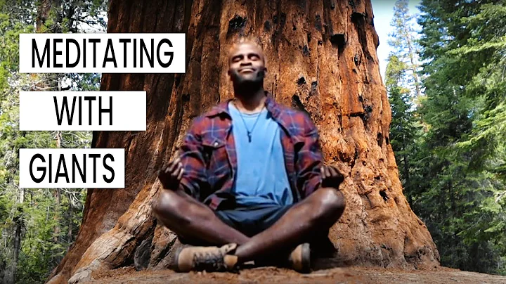 Meditating with Giants