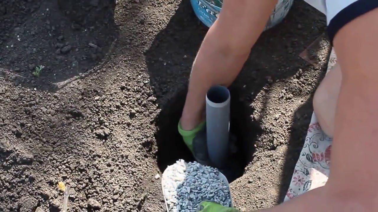 корневой полив всё просто