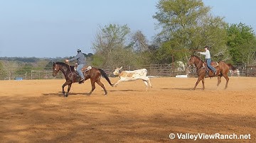 LB Smart Chic - roping and working cows - ValleyViewRanch.net