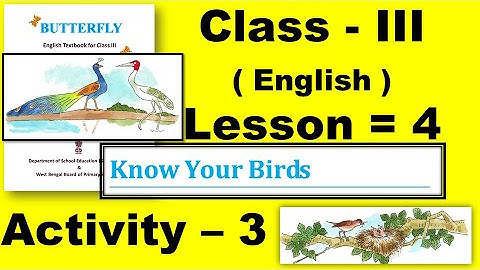 Class three / Class 3 / III Lesson 4, English, Know Your Birds, Activity 3 Answer solved, Butterfly