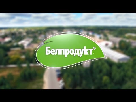 Корпоративный ролик Megachips и Megaline