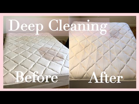 🧼 Can You Use a Carpet Cleaner on a Mattress: Cleaning Tips