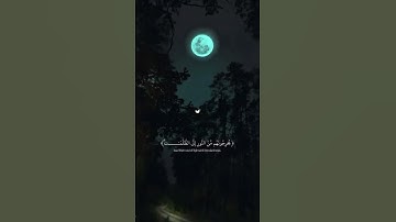 { الله ولي الذين آمنوا يخرجهم من الظلمات إلى النور }    سورة البقرة #قرآن#سورة_البقرة#اكسبلور#تلاوات