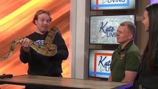 Kato Living - Rad Zoo Part 2