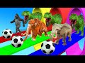 Woolly Mammoth Tiger Cow Dinosaur Elephant Lion Gorilla Choose The Right Door Game Wild Animals Game