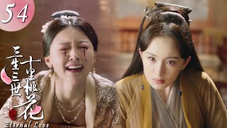 【EP54】Bai Qian est devenu noir et s'est rendu au Palais Céleste pour déterrer les yeux de thé vert😎