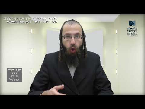 הדף היומי באידיש מסכת נדרים דף יב