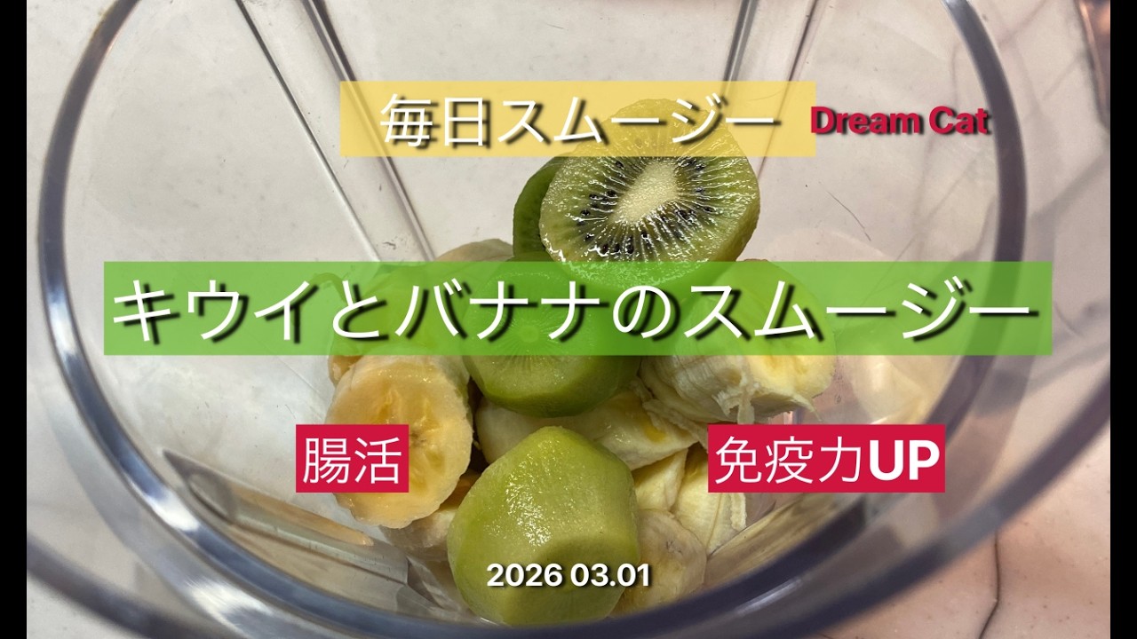 スムージー スペシャリストDream Cat 2026 03.01