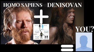5 Denisovan DNA Physical Traits in Modern Humans