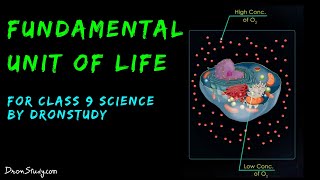 Class 9 Biology - Fundamental Unit of Life