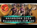 Марафон Налибоки 2024. XCM 100 км. Веломарафон