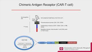 Update on CAR TCell Therapy | LRF Webinars