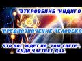 Откровение ИНДИГО -  тот свет, куда улетает наш дух. Предназначение человека, Высшее Я, Эго.