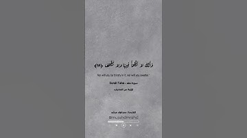 مجاهد مرشد || ما تيسر من سورة طه