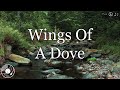 Wings Of A Dove w/ Lyrics - Dolly Parton Version