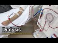 Understanding Dialysis
