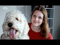 Коллеги убийцы 1 сезон 1 серия Мишень у нее на спине Коллеги убийцы 1 сезон 1 серия Мишень у нее на спине