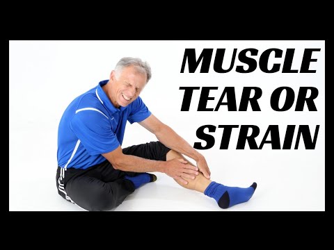 Video: Recovery From Muscle Injury