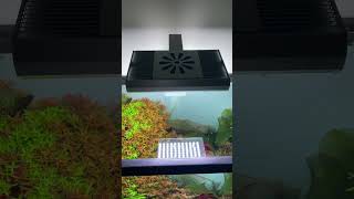 Unboxing JC&P lighting, co2 regulator, and aquarium.