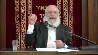 Short Thought on Lag B'Omer | by Harav Asher Weiss Shlita | 5784