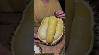 #durian #ทุเรียน #หมอนทอง #fruit #summer #ທຸລຽນ #อร่อยบอกต่อ #ແຊບບອກຕໍ່ #shorts