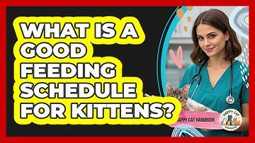 What Is A Good Feeding Schedule For Kittens?